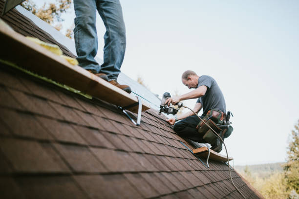 Best Metal Roofing Contractor  in Butler, IN